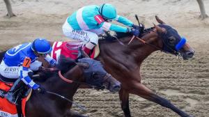 Triple Crown, Preakness, Belmont Stakes, Mage, National Treasure, Blazing Sevens